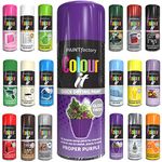 Spray Paint For Plastic Outdoor