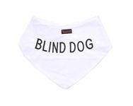 BLIND DOG White Dog Bandana Quality Personalised Embroidered Message. Neck Scarf Fashion Accessory. PREVENTS Accidents By Warning Others Of Your Dog In Advance