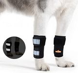 Pair of NeoAlly Dog Front Leg Braces Canine Carpal Support with Safety Reflective Straps for Front Hock, Cruciate Ligament, Wound Wrap and Loss of Stability from Arthritis (L/XL Pair)