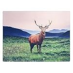 Highland Stag Tempered Glass Chopping Cutting Board Utensil Food Worktop Saver