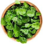 Paudha Herb WaterCress pack of 20 seeds NKS-468