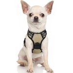 rabbitgoo Dog Harness, No-Pull Pet Harness with 2 Leash Clips, Adjustable Soft Padded Dog Vest, Reflective No-Choke Pet Oxford Vest with Easy Control Handle for Small Dogs, Beige,XS