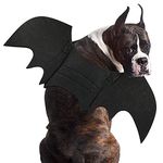 RANYPET Dog Bat Costume - Halloween Pet Costume Bat Wings Cosplay Dog Costume Cat Costume for Party XL