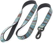 Embark Urban Dog Leashes - Colorful, Strong and Sturdy Nylon Dog Leashes for Small Dogs, Dog Leashes Medium Dogs and Dog Leashes Large Breed Dogs, Heavy Duty Dog Leash (Boho, 4 Ft Dog Leash)