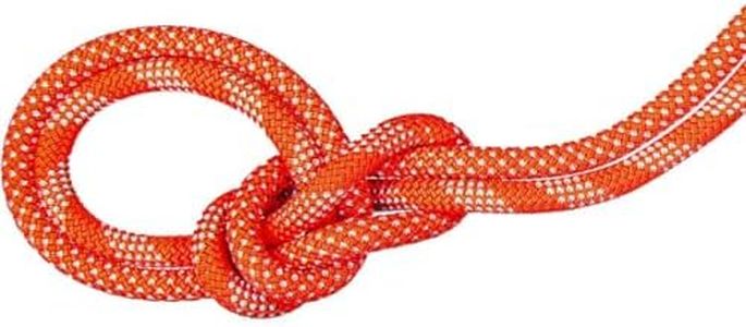 Mammut 9.8