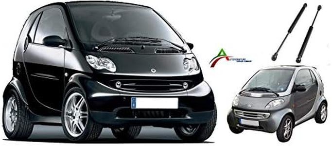 COPPIA MOLLE A GAS COFANO LUNOTTO POSTERIORE (305L-130N)