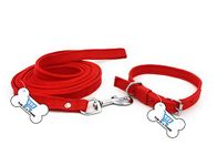 THE DDS STORE Dog Training Lead 10.FT Long Rope Cotton Nylon Webbing Recall Obedience Line Leash for Pet Best for Small to Medium Breed Dogs (10.Feet Leash & Collar 0.75 inch, Red)