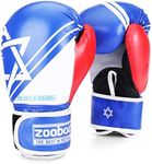 Flexzion 10 oz Boxing Gloves Women Men Youth - Pro Sparring Training, Kickboxing, Muay Thai Gloves Full Contact Combat Sport, Punching Bag, Protective Hand Gear with Wrist Wraps