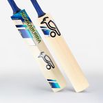 Junior Cricket Bats