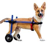 Walkin' Wheels Dog Wheelchair -XS for Mini/Toy Breeds 2-10 lbs-Veterinarian Approved - Wheelchair for Back Legs