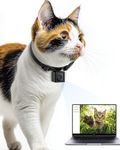 LuminiCam Cat Camera Collar, 1080P Video Recording Cameras for Pets,XS-Size,No App,No Wi-Fi, Cordless Cat & Dog Collar Camera,POV Cam(No Micro-SD Card Included)
