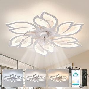 Ceiling Fa