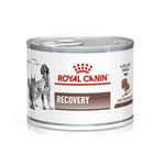 Royal Canin Veterinary Diet Recovery Dog/Cat Food