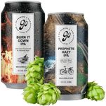 Go Brewing 12 Mixed Pack, Non-Alcoholic Beer, Craft Brew with Classic Ingredients – 6 Cans Each of Prophets Hazy IPA & Burn It Down IPA –Low-Calorie Non-Alcoholic IPA Beer Variety Pack – 12 Fl Oz Cans