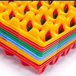 (PACK OF 5-Multicolor) TouchMi Plastic 30 Egg Holder|Poultry Plastic Egg trays for Storage 30 holes,Comfortable Egg Carry for Refrigerator, Incubator, Poultry Egg Tray 30 (28 x 28 x 5) Reusuable