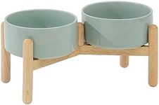 Havniva Ceramic Raised Dog Bowl with Stand for Small and Medium Breed Dog Dish Pet Food and Water Bowl (Double Bowl with Stand - Light Green, 6" D)