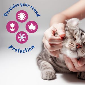 Johnsons Spot On Cat Wormer, 2-Pack – Easy Deworming Treatment