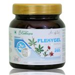 Art of Life (ArtLife Russia) Flexygel with Boswellia Extracts Helpful in Chronic Joints Problems like Rheumatism, Arthritis and Arthrosis (250 Grams)