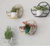 WORLD DECO Metal Wall Mounted Hanging Planter Rack Plant Basket Flower Pot Stand Plant Holder (Pack Of 4) (Multicolor)