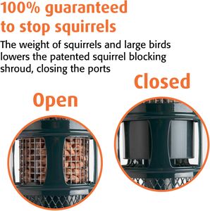 Jacobi Jayne Squirrel Buster Bird Feeder – Squirrel-Proof, Large Capacity