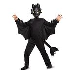 Toothless Classic Costume