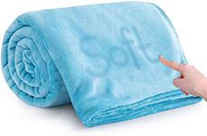 VAS COLLECTIONS Premium Plush Double Blanket 300 GSM Lightweight Cozy Soft for Bed,Sofa,Couch,Travel&Camping 220X230 Cm Or 86X90 Inches Sky Blue Flannel,tc-200