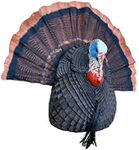 Bone Collector Quarter-Body Strutting Tom Turkey Decoy with Detachable Realistic Fan