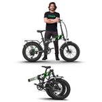 EMotorad Doodle Fat-Tyre Foldable Mountain Electric Cycle, 12.75Ah Removable Battery, LCD Display & USB Charging, 5 Levels of Pedal Assist, Shimano Tourney 7 Speed, 250W BLDC Motor (Black Green)