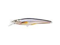 Fishing Tackle Lures Rainbow Smelt Jerkbait, Shallow