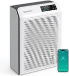 Smart Air Purifier for Allergies, H