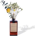 Aeeteek Reed Diffuser Set - Sea Sal