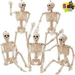 JOYIN 5 PCS Posable Halloween Skele