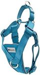 RC Pets Tempo No Pull Dog Harness, Small, Heather Teal
