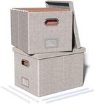 Oterri 2 Packs File Organizer Box, 