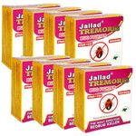 Jallad TREMORES BUG FIGHTER Bed Bug Spray Powder - 10 Gram | Long Lasting Protection from Cocroach & Termite | Powerful Spray for Bugs from Plant/Home/Kitchen (Pack of 8)