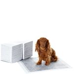 Amazon Basics Odor-Control Carbon Dog and Puppy Training Pads, Leakproof 5-Layer Pee Pads for Potty Training, Regular (22 x 22 Inches) - 80-Pack