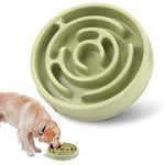 Coolplay Dog Bowl Slow Eating Dog Food Bowl Slow Feeder Dog Bowls Dog Puzzle Light Green