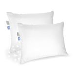 East Coast Bedding 100% White Down Pillow 100% Cotton Fabric 550 Fill Power - Set of 2 (Standard) by East Coast Bedding