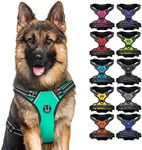 CollarDirect No Pull Reflective Dog