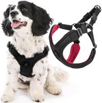 Gooby - Escape Free Sport Harness, 