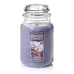 Yankee Candle Company Oil Warmers