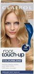 Clairol Root Touch-Up Permanent Hai