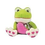 Fun Express Plush Valentine Frog Ho