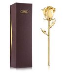 valentines day gifts for girlfriend Rose,ZJchao 24 Carat Gold Dipped Real Red Rose Flower,Love gift for girlfriend Birthday Christmas Valentine for Her (Display Stand)