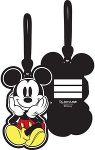 Disney Mic