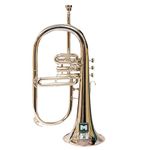 Flugel Horn 3 Valve, BB Pitch, Premium Brass Quality Including Mouthpiece & Carrying Case, Glove, (SILVER)