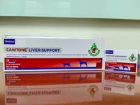 Canitone Liver Support - Nutritional Supplement Tablets for Dogs and Cats (1 Strip of 10 Tablets) - 3 Qty