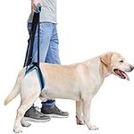 BePetMia Dog Lift Support Harness - Dog Support Harness for Back Legs, Help Lift the Back Legs, Dog Rear Harness Support for Elderly, injured, Sick and Disabled Dogs (S: 8.7-13.8 inch)