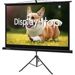 Portable Projector Screen