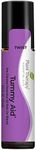 Plant Therapy Tummy Aid Synergy Pre-Diluted Roll-On 10 mL (1/3 fl oz) 100% Pure, Therapeutic Grade